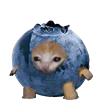 🫐 Эмодзи «Kitten Fruits Vegetables» для Telegram