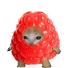 🍓 Эмодзи «Kitten Fruits Vegetables» для Telegram