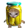 🥒 Эмодзи «Kitten Fruits Vegetables» для Telegram