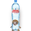 🚰 Эмодзи «Kitten Fruits Vegetables» для Telegram