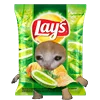 🍿 Эмодзи «Kitten Fruits Vegetables» для Telegram