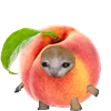 🍑 Эмодзи «Kitten Fruits Vegetables» для Telegram