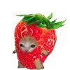 🍓 Эмодзи «Kitten Fruits Vegetables» для Telegram
