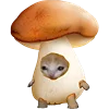 🍄 Эмодзи «Kitten Fruits Vegetables» для Telegram