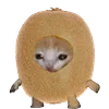 🥝 Эмодзи «Kitten Fruits Vegetables» для Telegram