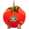 🍅 Эмодзи «Kitten Fruits Vegetables» для Telegram