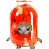 🍅 Эмодзи «Kitten Fruits Vegetables» для Telegram