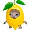 🍋 Эмодзи «Kitten Fruits Vegetables» для Telegram