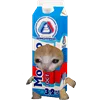 🥛 Эмодзи «Kitten Fruits Vegetables» для Telegram