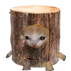 🪵 Эмодзи «Kitten Fruits Vegetables» для Telegram