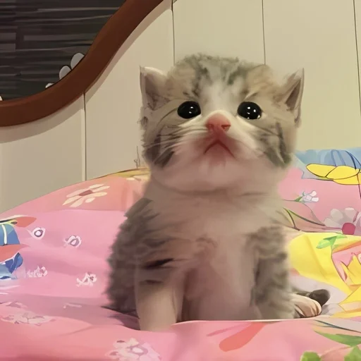 📎 Стикер «kitten kawaii» для Telegram