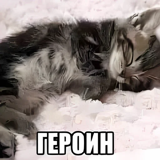 🍓 Стикер «kitten kawaii» для Telegram