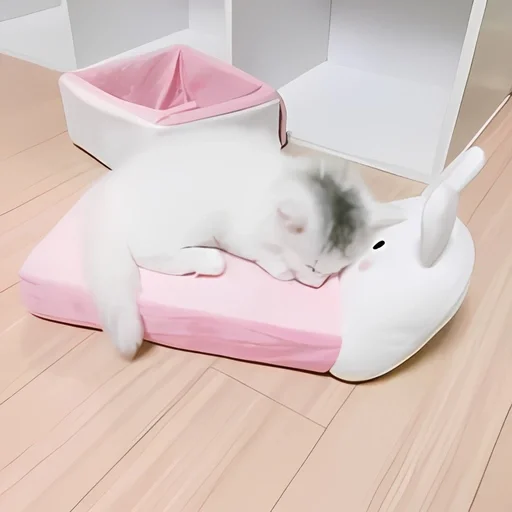 🦢 Стикер «kitten kawaii» для Telegram