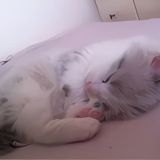💒 Стикер «kitten kawaii» для Telegram