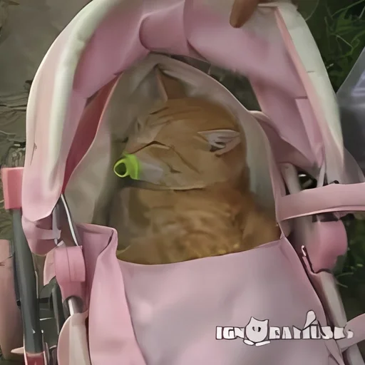 🎀 Стикер «kitten kawaii» для Telegram