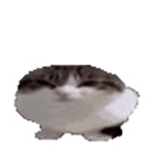 🕺 Эмодзи «Kittens» для Telegram