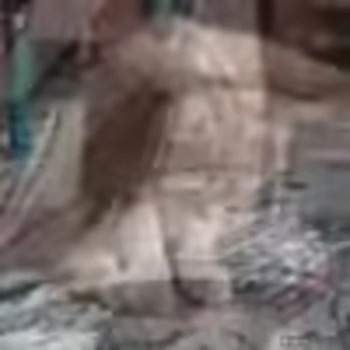 🙁 Эмодзи «Kittens» для Telegram
