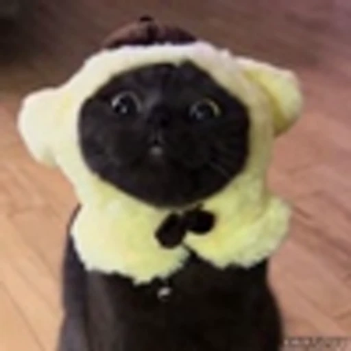 🧸 Эмодзи «Kittens» для Telegram