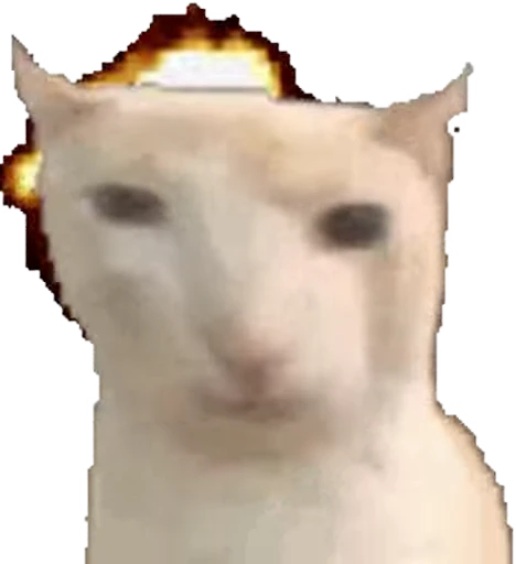 🤯 Стикер «Kittens 4» для Telegram