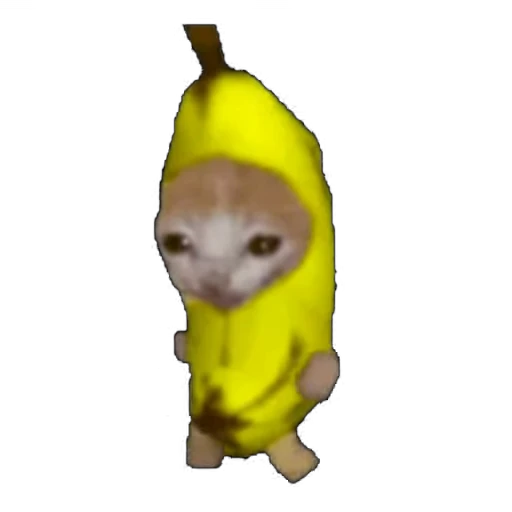 🍌 Стикер «Kittens 4» для Telegram