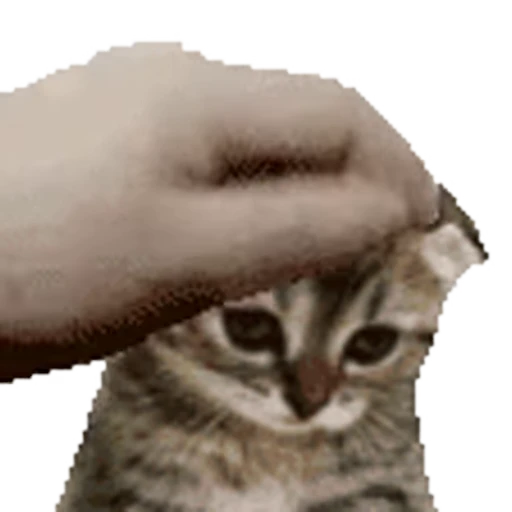 😔 Стикер «Kittens 4» для Telegram