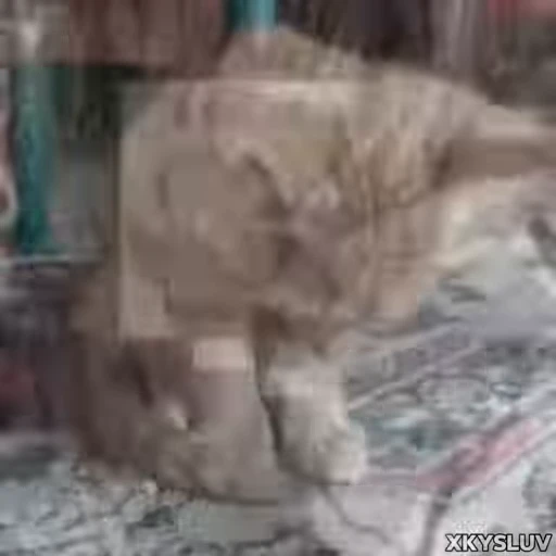 🙁 Стикер «Kittens 4» для Telegram