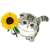 🐱 Эмодзи «≽^•⩊•^≼ котики ≽^•⩊•^≼» для Telegram