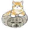 🐱 Эмодзи «≽^•⩊•^≼ котики ≽^•⩊•^≼» для Telegram