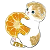 🐱 Эмодзи «≽^•⩊•^≼ котики ≽^•⩊•^≼» для Telegram