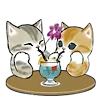 🐱 Эмодзи «≽^•⩊•^≼ котики ≽^•⩊•^≼» для Telegram