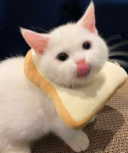 😛 Стикер «KittensClau» для Telegram