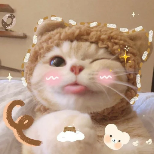 ☺️ Стикер «KittensClau» для Telegram