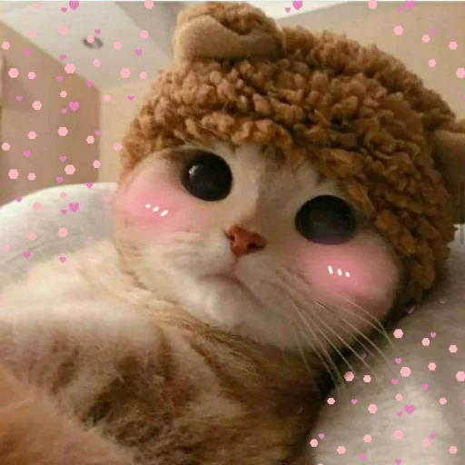 Стикерпак KittensClau для Telegram