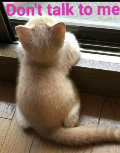 😠 Стикер «KittensClau» для Telegram