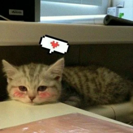 🥺 Стикер «KittensClau» для Telegram