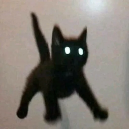 😨 Стикер «KittensClau» для Telegram