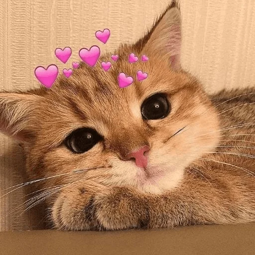 💗 Стикер «KittensClau» для Telegram