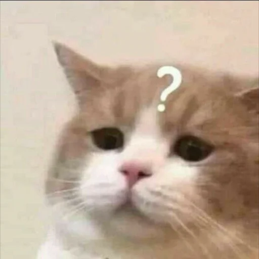 🐾 Стикер «KittensClau» для Telegram