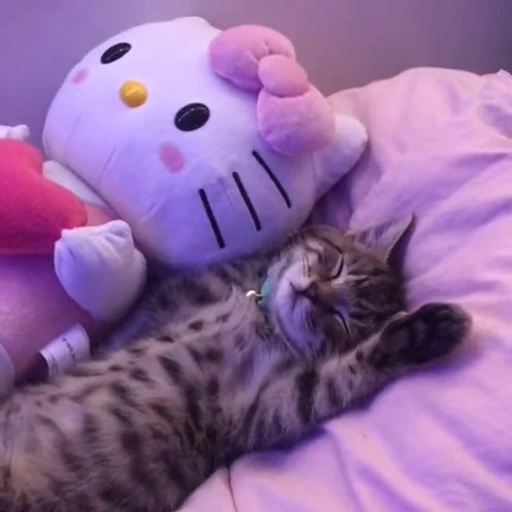 😻 Стикер «kittens» для Telegram