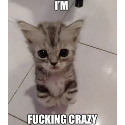 😈 Стикер «Kitties.exe» для Telegram