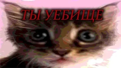 🫵 Стикер «Kitties.exe» для Telegram