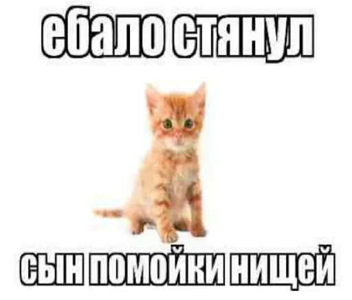 😡 Стикер «Kitties.exe» для Telegram