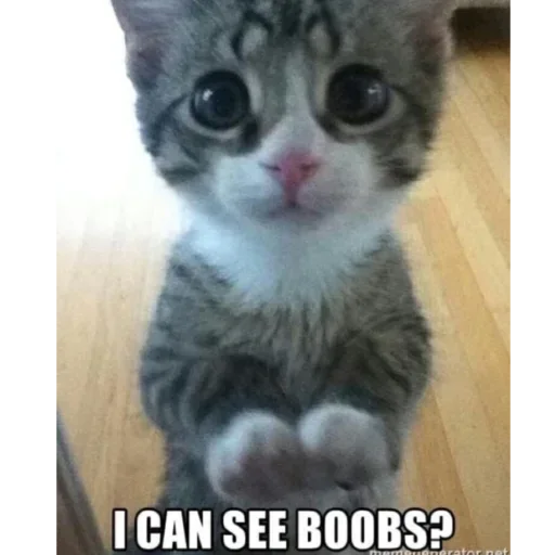 😏 Стикер «Kitties.exe» для Telegram