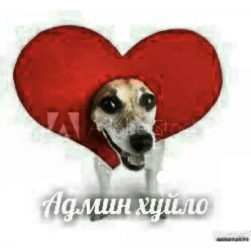 ❤️ Стикер «Kitties.exe» для Telegram