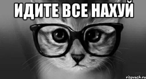 🖕 Стикер «Kitties.exe» для Telegram