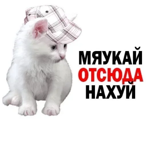 🖕 Стикер «Kitties.exe» для Telegram
