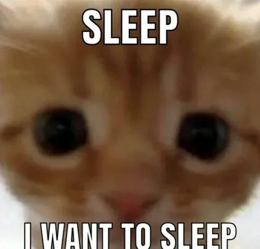 💤 Стикер «Kitties.exe» для Telegram