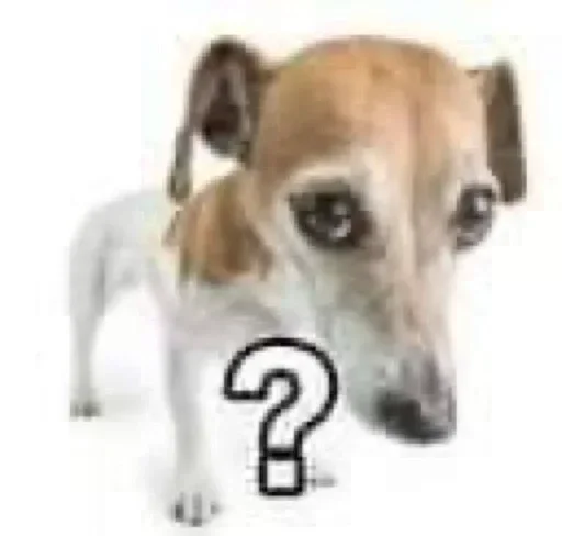 ❓ Стикер «Kitties.exe» для Telegram