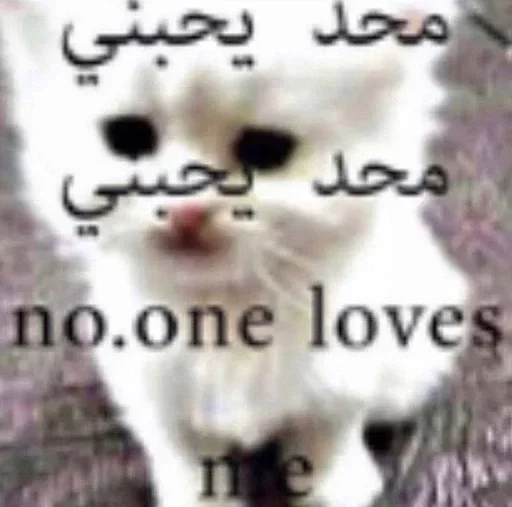 ❤️ Стикер «Kitties.exe» для Telegram
