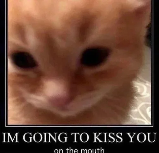 😘 Стикер «Kitties.exe» для Telegram